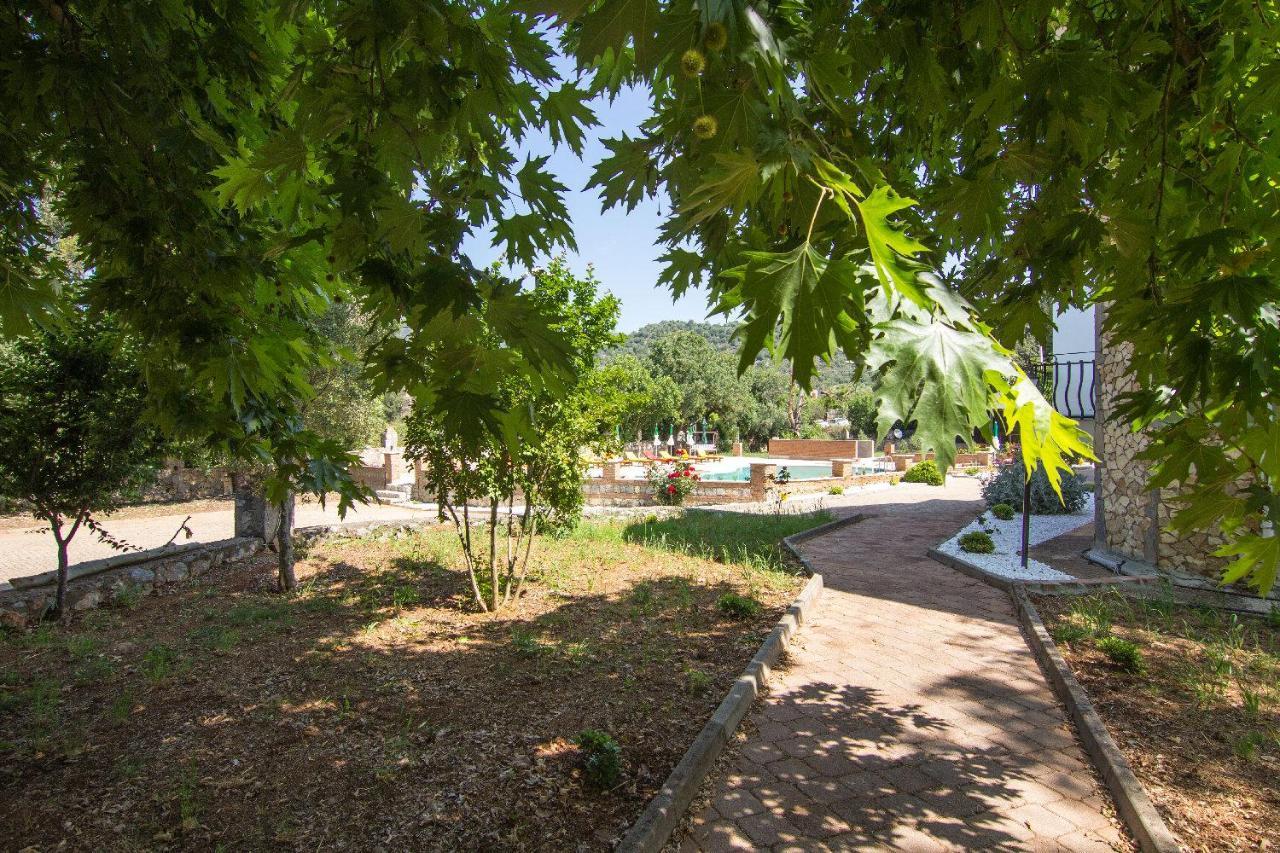 Yesilkaya Hotel Kayakoy エクステリア 写真